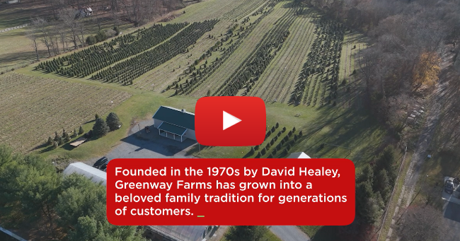 Agritourism Greenway Tree Farm