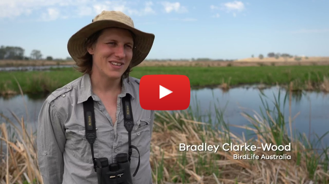 The amazing achievements of the Love Our Lakes program