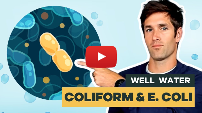 Is Coliform Bacteria Common in Well Water?