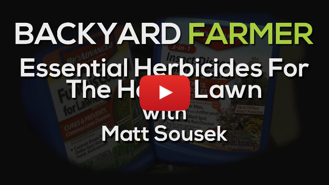 Essential Herbicides For Your Lawn