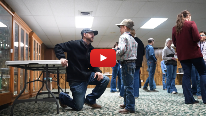Fed Steer Shootout | NJHA