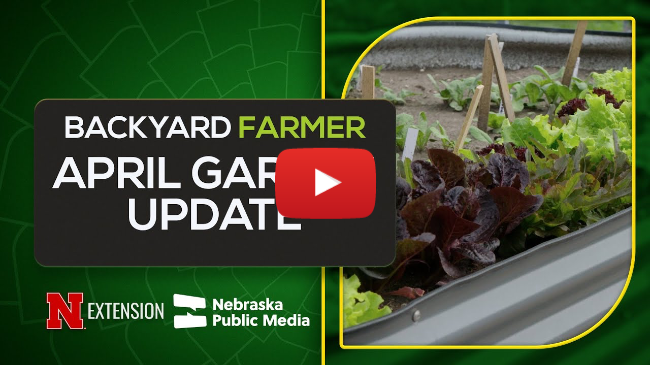 April BYF Garden Update April BYF Garden Update