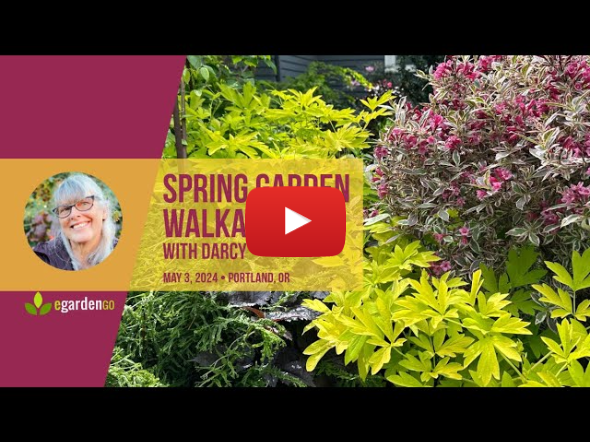 Spring Walkabout Tour with Darcy Daniels in Her Portland, Oregon Garden