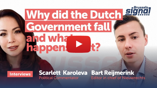 Why did the Dutch Government fall and what happens next?