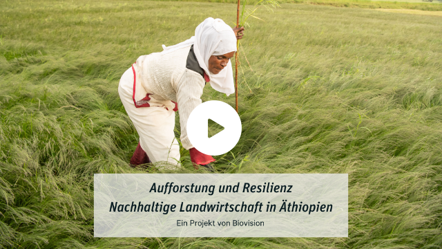 Nachhaltige Landwirtschaft in Äthiopien Nachhaltige Landwirtschaft in Äthiopien