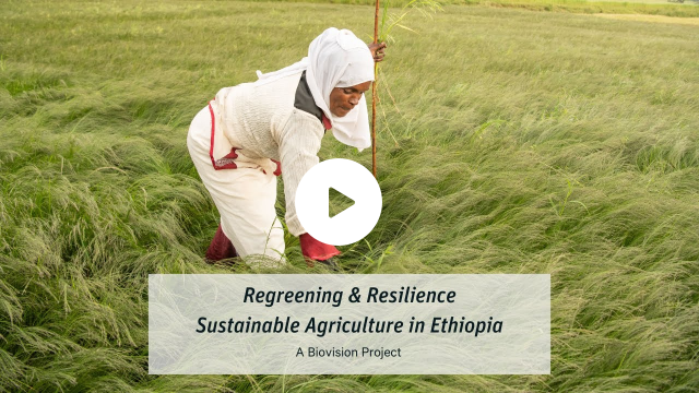 Nachhaltige Landwirtschaft in Äthiopien | Sustainable agriculture restoring land in Ethiopia