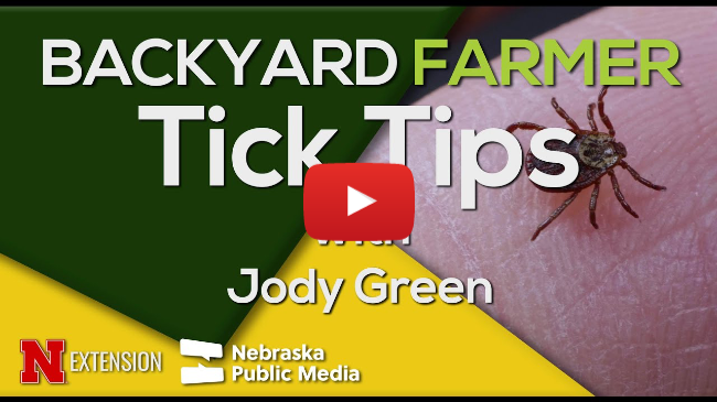 Beware of Ticks