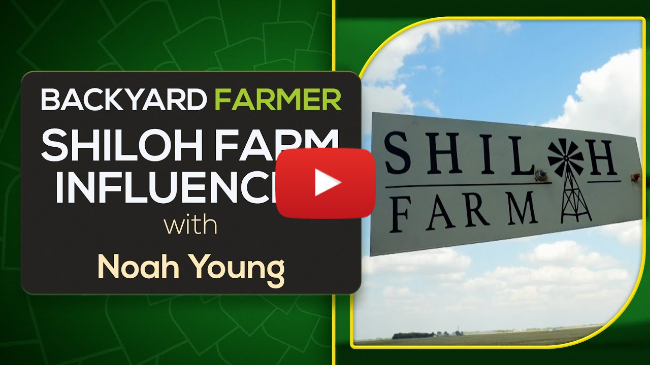 Backyard Farming with Noah Young from Shiloh Farm