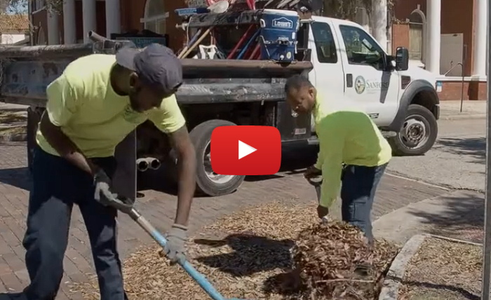 Stormwater Education