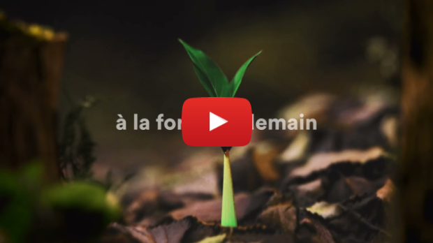 Boréalis présente Transformations