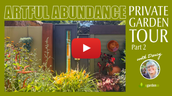 Walk & Talk with Linda | A Personal Garden Tour in Portland (Part 2)