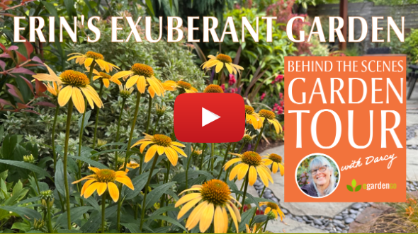 Erin's Exuberant Garden Oasis: Transforming a Challenging Slope in Portland