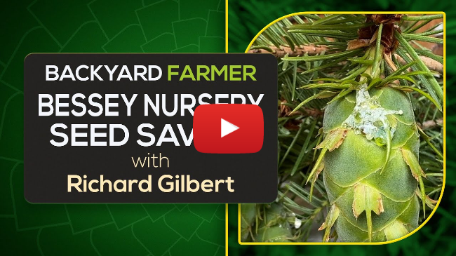 How Bessey Nursery Helps Reforest the Rocky Mountains | Seed Saving & Conservation in Nebraska