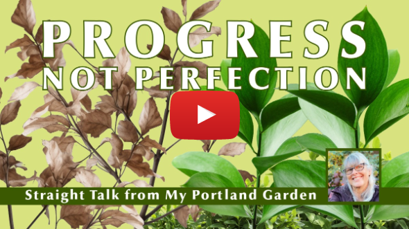 Pursuing Progress, Not Perfection: Real Talk from My Portland Garden
