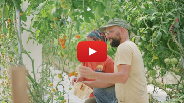 Visites gourmandes dans la région de Portneuf
#portneufinegalable