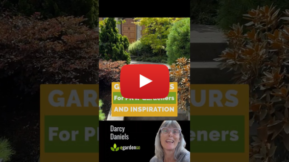 Sneak Peek: Foliage-First Garden in Portland #garden #gardening #gardendesign