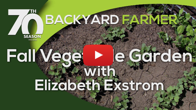 Planting a Fall Garden Planting a Fall Garden