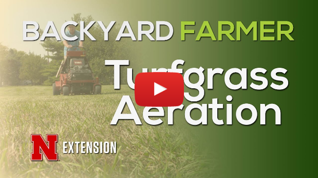 Turfgrass Aeration Turfgrass Aeration