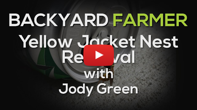 Yellow Jacket Nest Removal