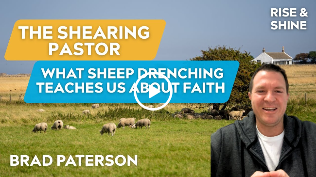The Shearing Pastor: What Sheep Drenching Teaches Us About Faith | Brad Paterson