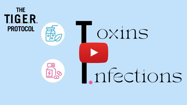 TIGER Protocol a framwork of investigation and support for Auto Immune Disease Part 1 TIGER Protocol a framwork of investigation and support for Auto Immune Disease Part 1