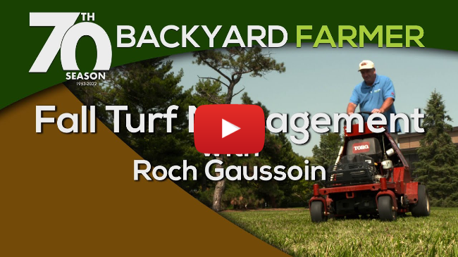 Fall Turf Management