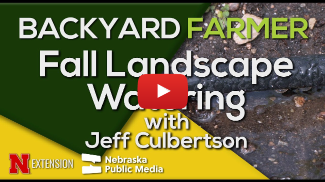 Fall & Winter Watering Tips | Keep Landscape Plants Healthy