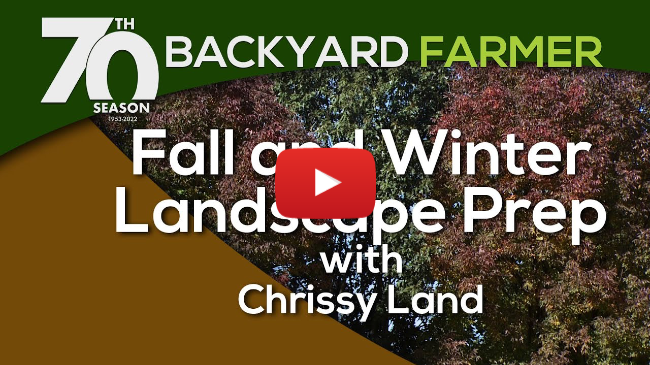 Fall Winter Landscape Prep