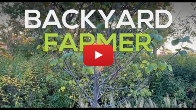 🌳 Protect Young Trees This Winter 🌳