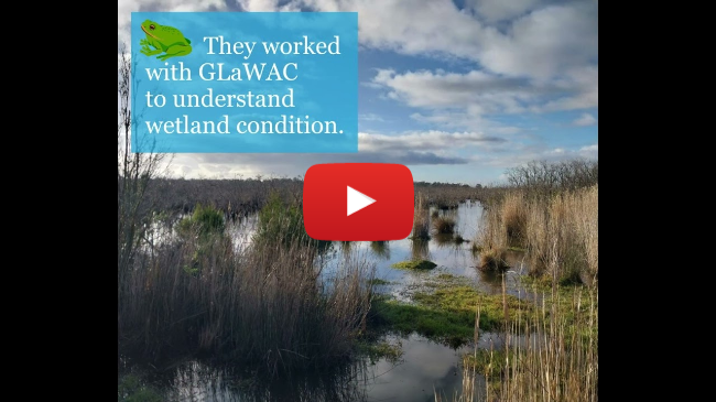 Restoring wetlands on the Lower Avon and Perry Rivers