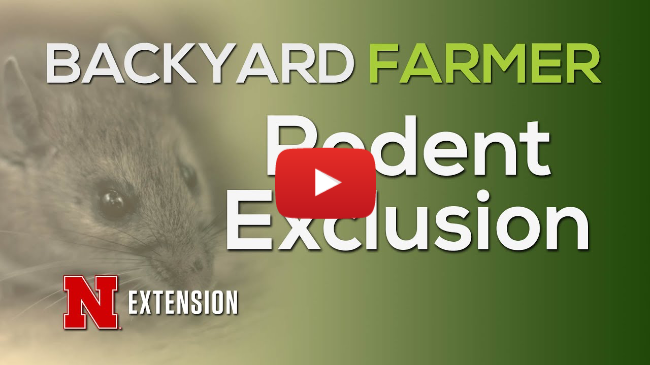 Rodent Exclusion Rodent Exclusion