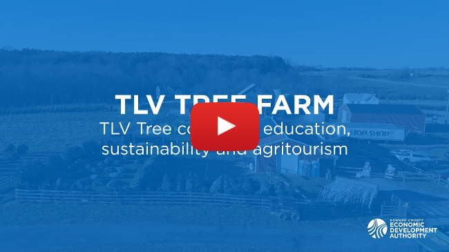 Agritourism TLV Landscape | Agritourism