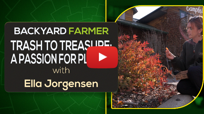 From Trash to Treasure | Ella Jorgensen's Passion for Plants