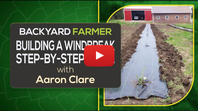 Planning the Perfect Windbreak | Tips from the NRD & Nebraska Forest Service Planning the Perfect Windbreak | Tips from the NRD & Nebraska Forest Service