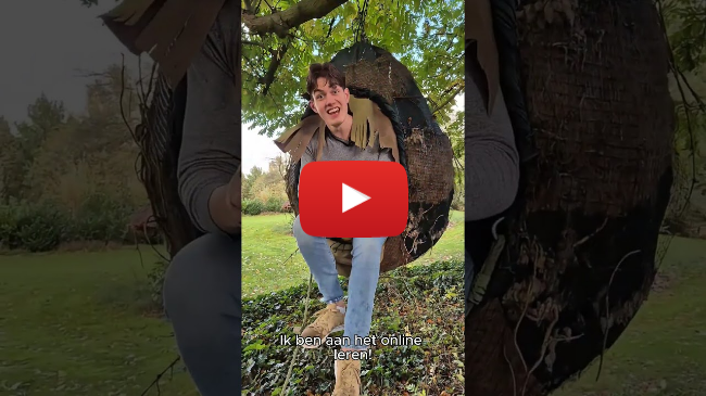 video online leren student