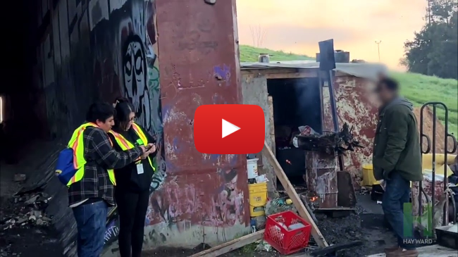 Point in Time Count 2024