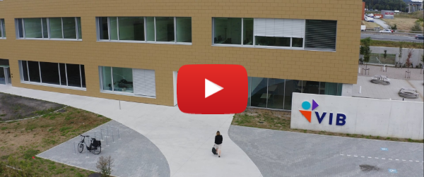 VIB Innovation & business