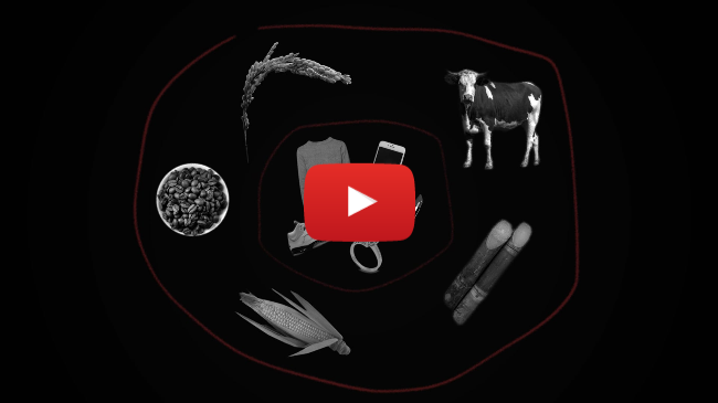 What is Red Sand Project?