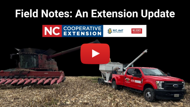 Field Notes February 26