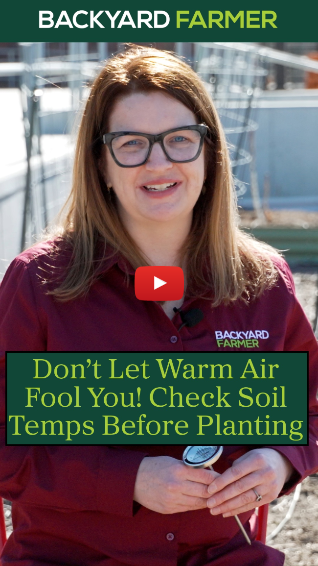 Don’t Let Warm Air Fool You! Check Soil Temps Before Planting