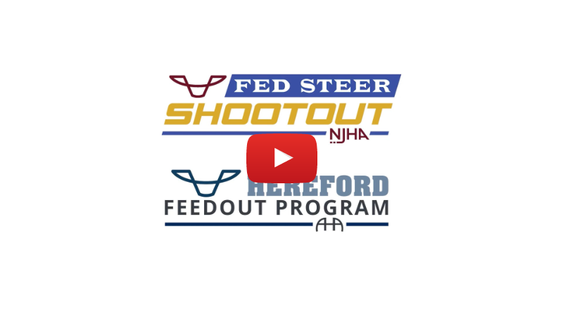 Fed Steer Shootout | February Update