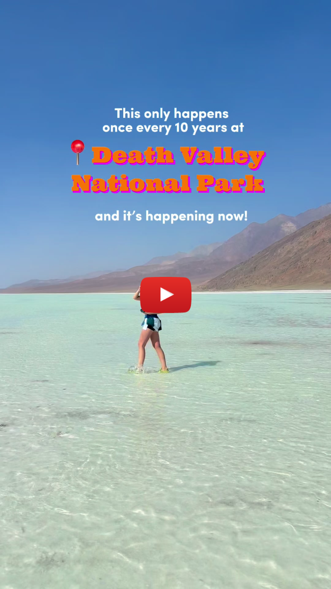 Water only fills up at Badwater Basin on average once every TEN YEARS at #deathvalleynationalpark ! Find a way to get yourself here before it’s too late! This is normally a dry, salty, basin that is completely white. On top of that, the wildflowers are also in full bloom making for a stunning National Park trip I was able to check off my bucket list! #badwaterbasin #hikingstyle #nationalparks #nationalparklover 