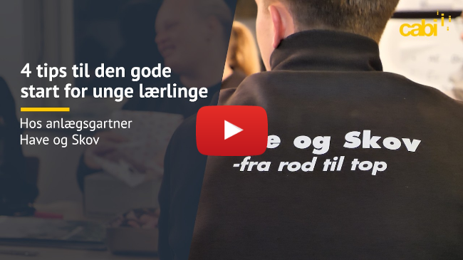 4 tips til den gode start for unge lærlinge - hos anlægsgartner Have og Skov.