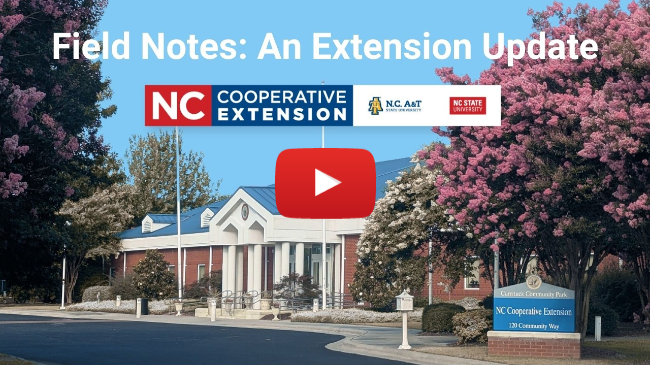 Field Notes Feb-Mar 26