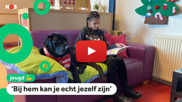 Schoolhond Ollie heeft een diploma om leerlingen te helpen Schoolhond Ollie heeft een diploma om leerlingen te helpen