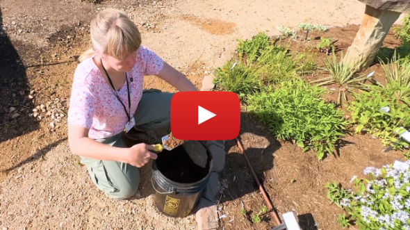 Stop Guessing! The Right Way to Test Your Soil