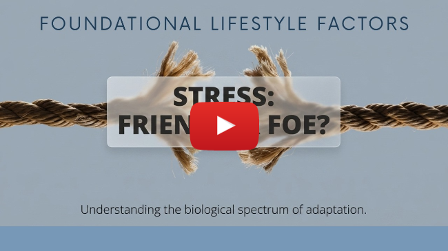 Stress, Friend or Foe, How to build Resilience