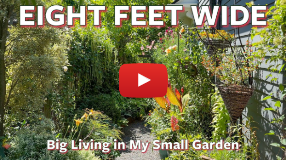 Eight Feet Wide 🌿 Big Living in My Small Garden