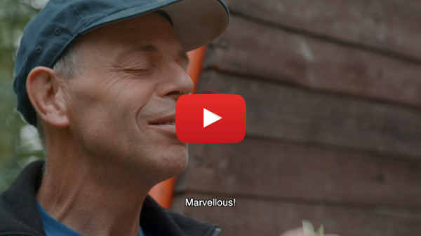 Trailer From Hops to Beers