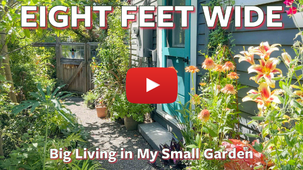 Eight Feet Wide 🌿 Big Living in My Small Garden